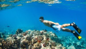 Où faire du snorkeling en Guadeloupe ?