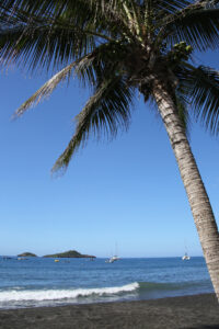 What to do in Malendure, Guadeloupe