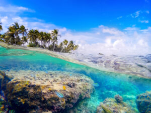Where to explore the seabed in Guadeloupe?