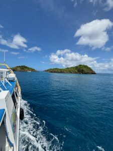 La Réserve Cousteau en Guadeloupe : un sanctuaire marin à préserver